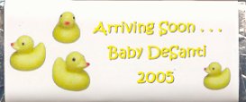 Baby Shower Rubber Ducky